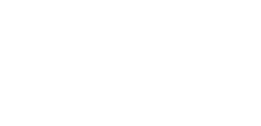 Logo de DSBI Consulting Canada Ltd